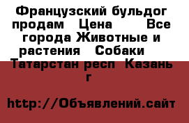 Французский бульдог продам › Цена ­ 1 - Все города Животные и растения » Собаки   . Татарстан респ.,Казань г.